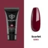 Scarlet - Poly Nail Gel (15g) 1 Scarlet - Poly Nail Gel (15g) -Mary Jully Nail Shop 1 007e813e 7ff9 4f0a 903b bc7a7e13fd1c