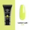 Lemon Lush - Poly Nail Gel (15g) -Mary Jully Nail Shop 1 5b0ee203 7aaf 49d3 9024 4f839cc0c8ab