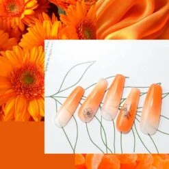 Orange - Poly Nail Gel (15g) 10 Orange - Poly Nail Gel (15g) -Mary Jully Nail Shop orange poly nail gel 15g 684385